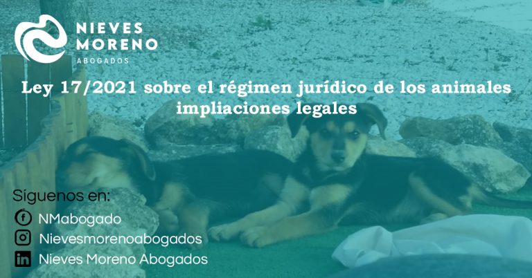 Los animales dejan de ser considerados «Cosas». Resumen de la Ley 17/2021